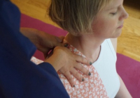 https://www.georgiafarrant.net/files/gimgs/th-115_shiatsu 7 height 250.jpg